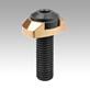 Clamping screw with clamping ring for flexible clamping bolt, Form B