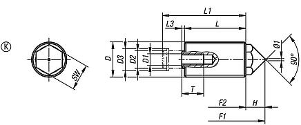 Push-Pull spring plungers with rotation lock Form K