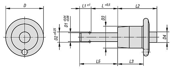 Ball lock pins with stainless steel mushroom grip