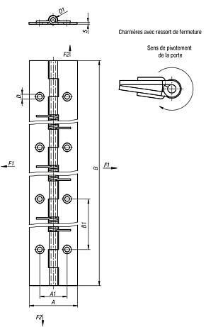 Charnières à Ressort en acier ou Inox 240 mm, Fermeture à ressort