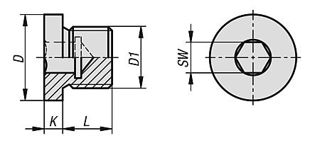 Screw plugs with collar and hexagon socket DIN 908