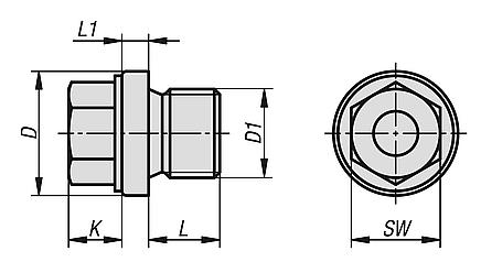 Screw plugs hex head with collar DIN 910