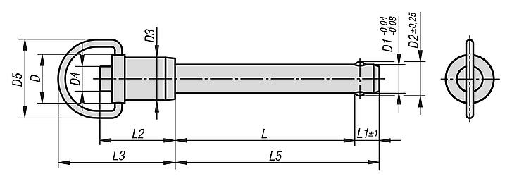 Ball lock pins with stainless steel grip ring